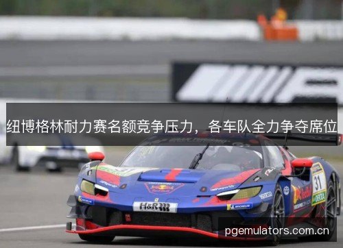 纽博格林耐力赛名额竞争压力，各车队全力争夺席位